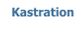 Kastration