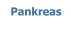 Pankreas