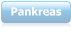 Pankreas